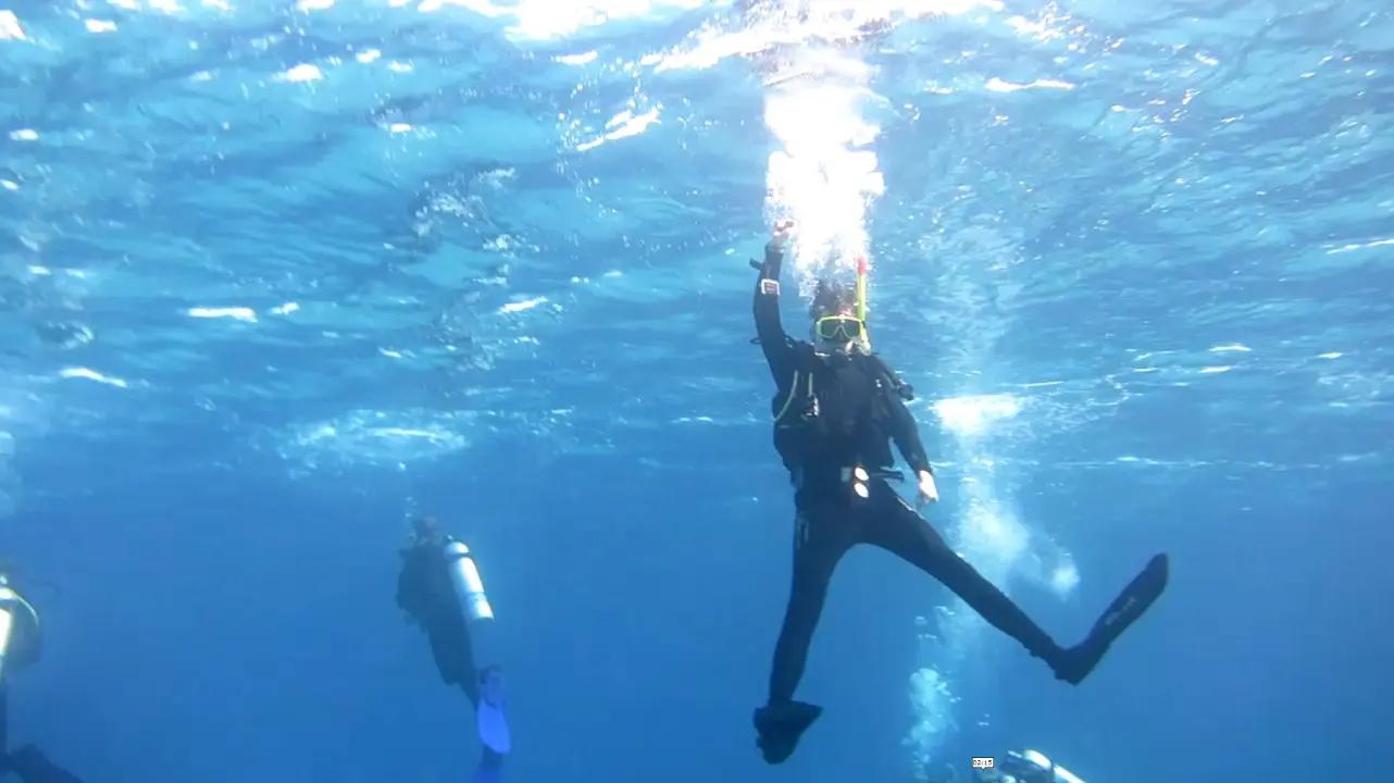 Diving in Egypt cover